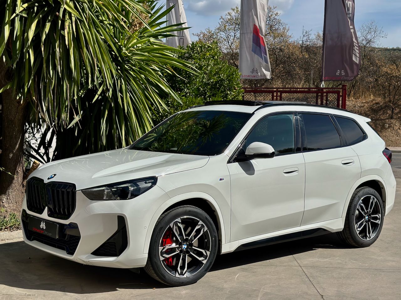 BMW X1 SDRIVE20D AUTO. M SPORT  PRO - Foto 6
