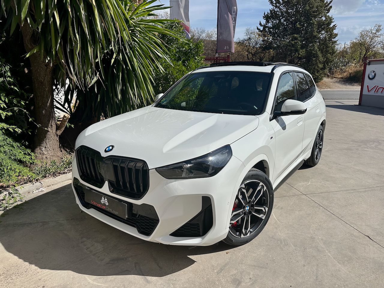BMW X1 SDRIVE20D AUTO. M SPORT  PRO - Foto 34