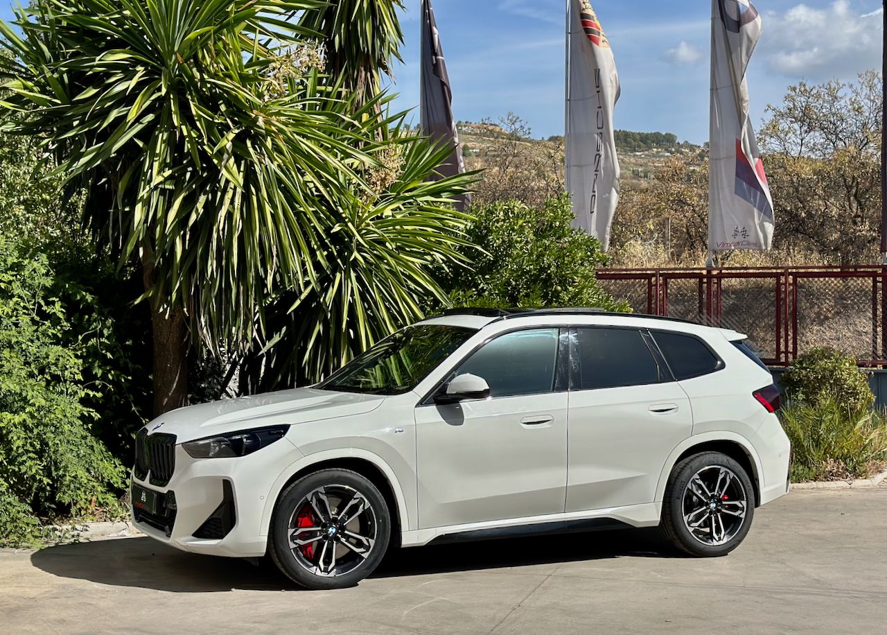 BMW X1 SDRIVE20D AUTO. M SPORT  PRO - Foto 29