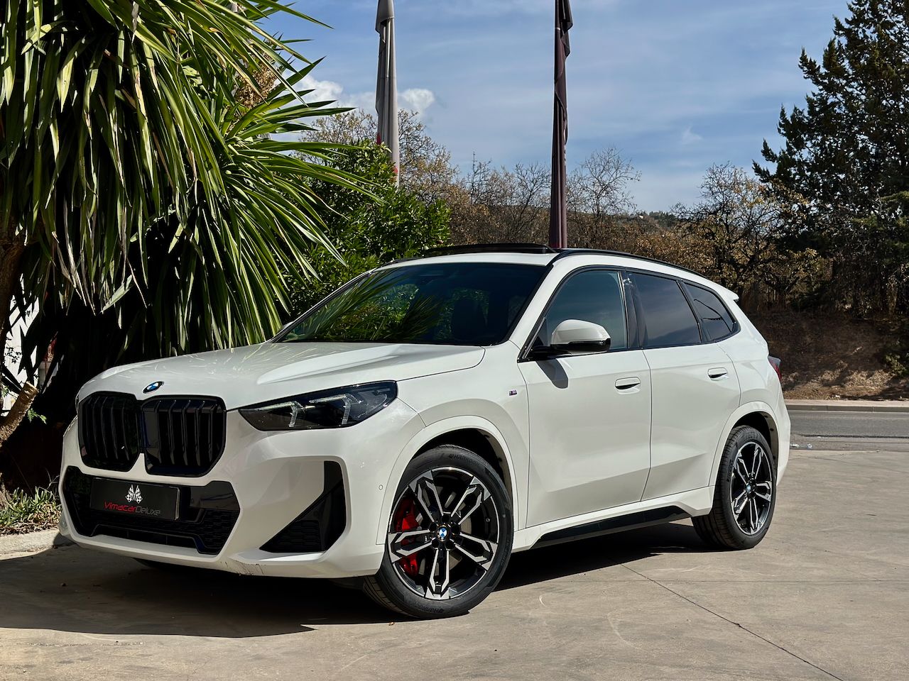 BMW X1 SDRIVE20D AUTO. M SPORT  PRO - Foto 32