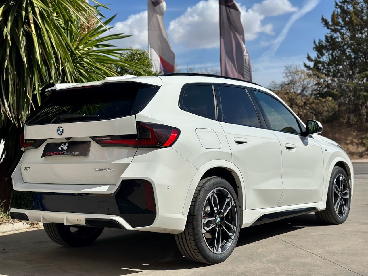 BMW X1 SDRIVE20D AUTO. M SPORT  PRO - Foto 5