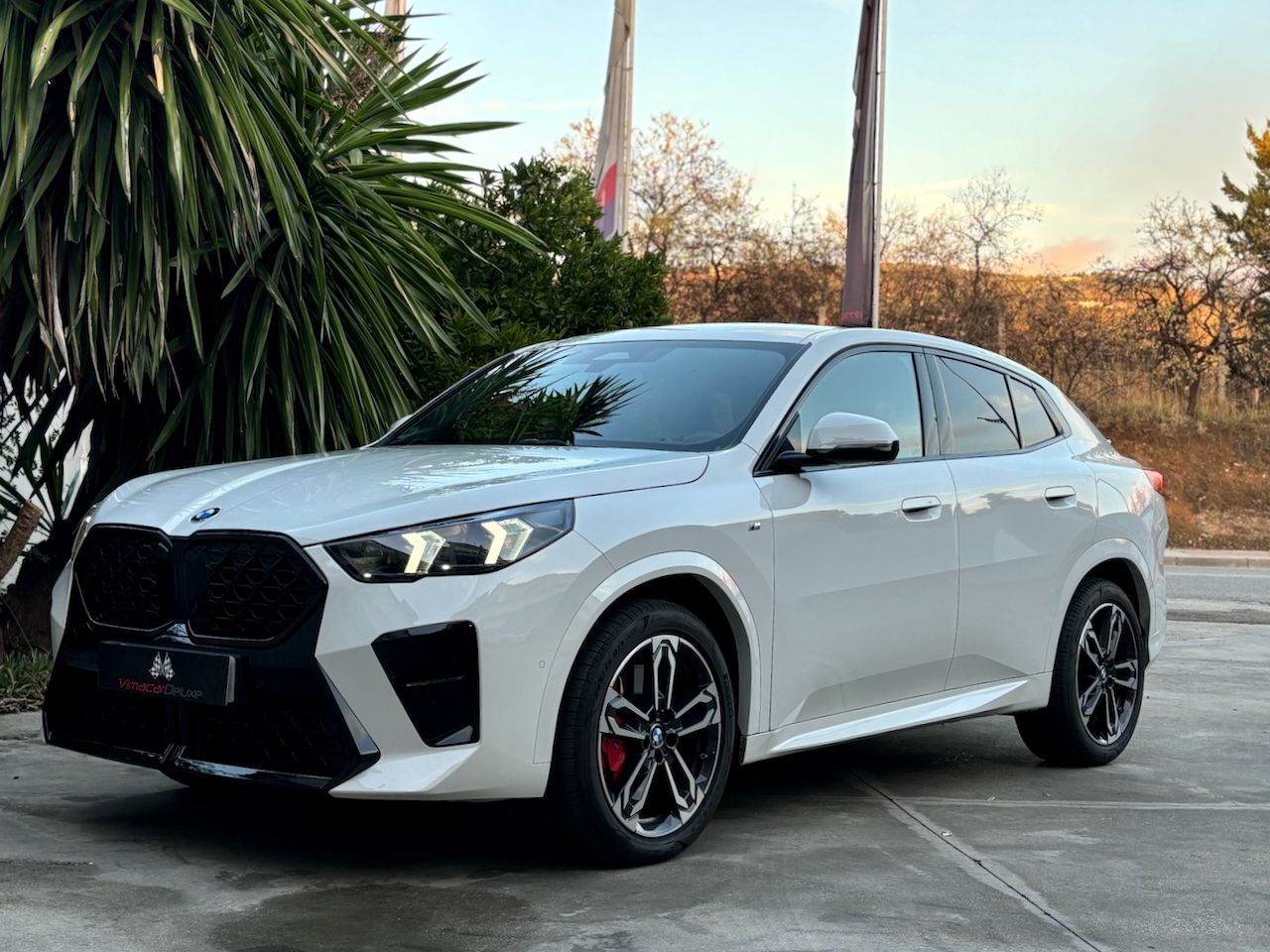 BMW X2 SDRIVE18D AUTO. M SPORT PRO - Foto 24