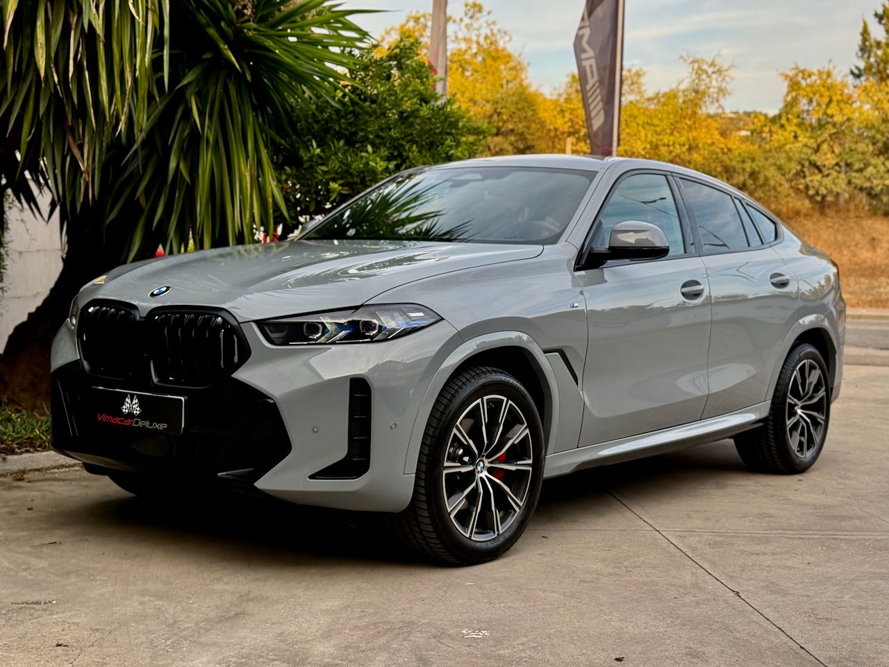 BMW X6 XDRIVE30D PAQUETE M SPORT - Foto 14
