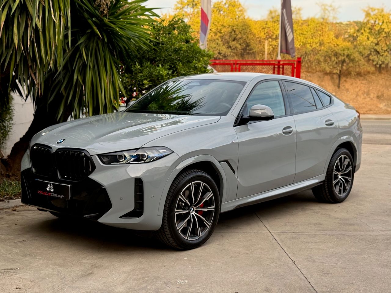 BMW X6 XDRIVE30D PAQUETE M SPORT - Foto 18