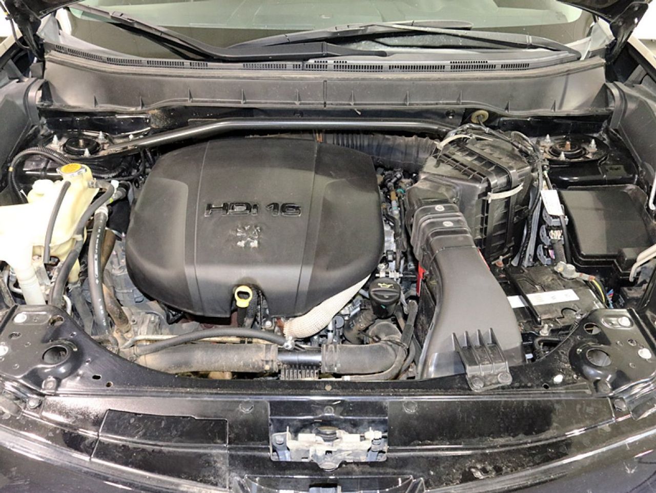 Peugeot 4007 4007 Premium 7 plazas 2.2 HDI 156 FAP - foto 7