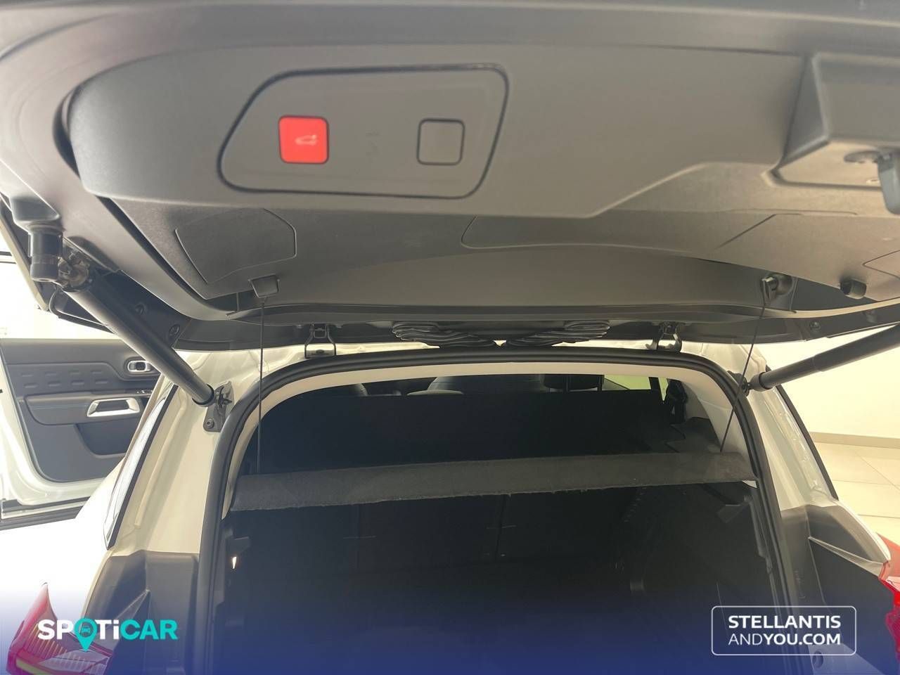 Citroën C5 Aircross  225 e-EAT8 Shine Pack - Foto 13