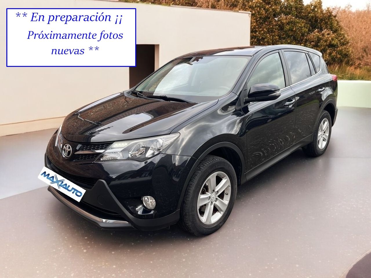 Yorkies de raza cordoba  de segunda mano en Córdoba - toyota rav4 2013 /