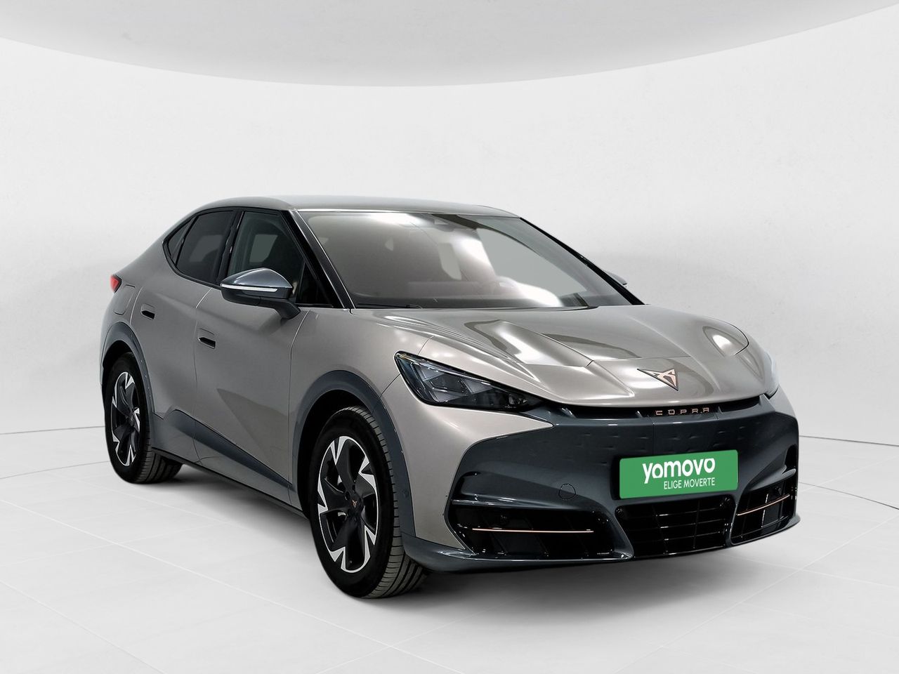 Cupra Tavascan 77kWh 210kW (286CV) Endurance