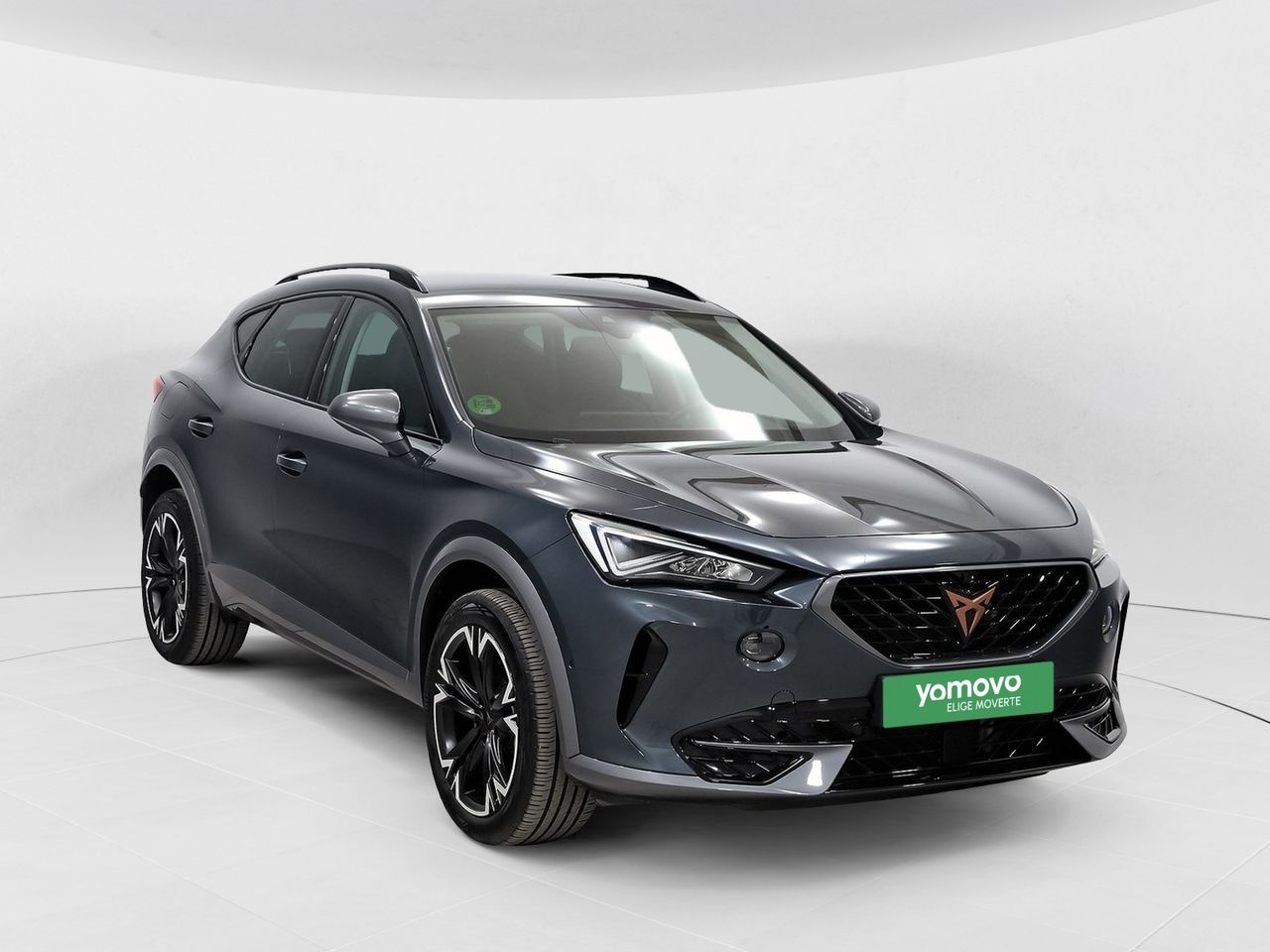 Cupra Formentor 2.0 TDI 110kW (150 CV)