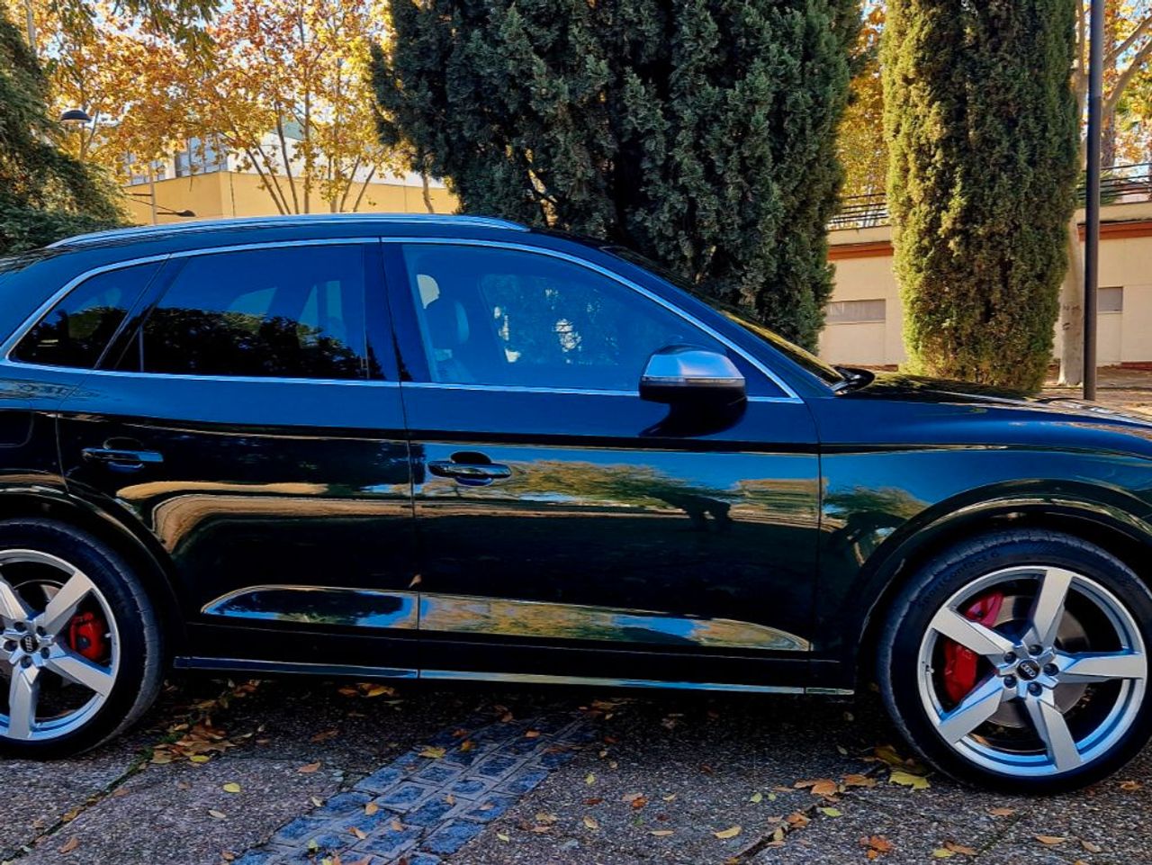 Audi Q5 SQ5 TDI quattro Tiptronic - foto 14