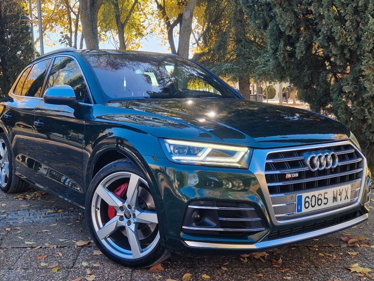 Audi Q5 SQ5 TDI quattro Tiptronic - foto 2