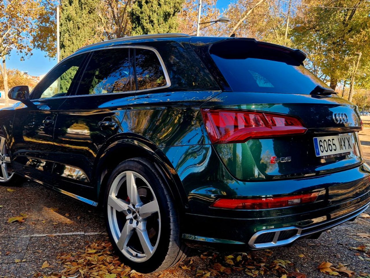 Audi Q5 SQ5 TDI quattro Tiptronic - foto 19