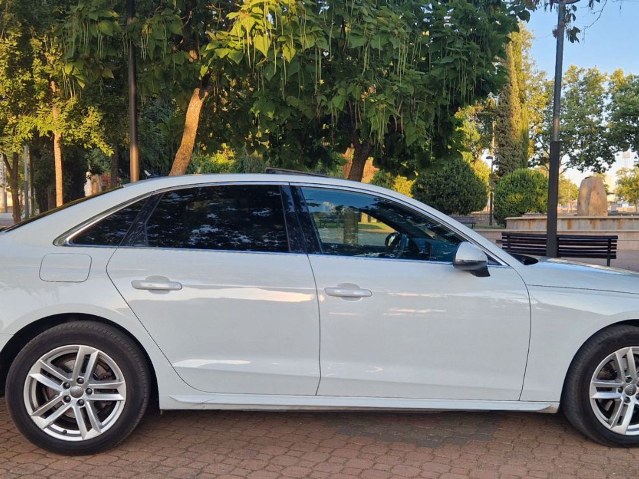 bg