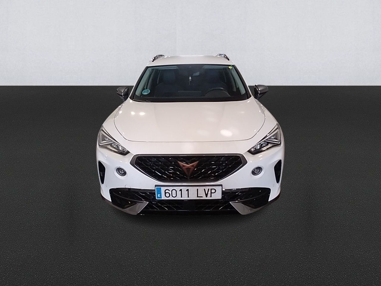 Cupra Formentor 2.0 Tdi 110kw (150 Cv) - Foto 3