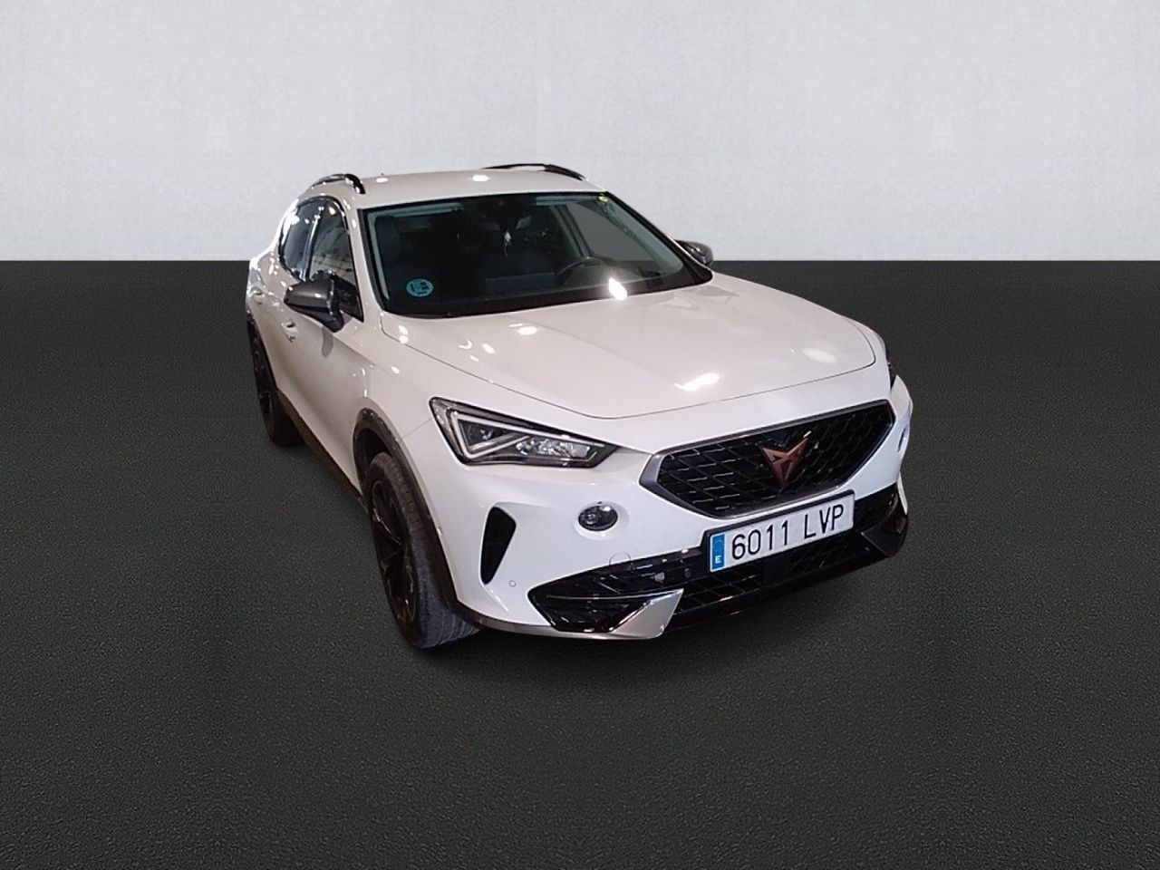 Cupra Formentor 2.0 Tdi 110kw (150 Cv) - Foto 4