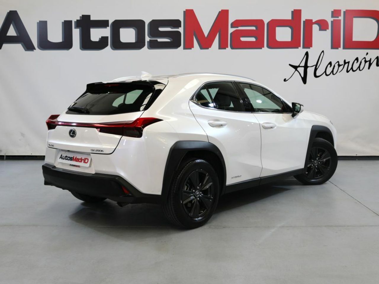 lexus ux 2020 / foto grande (3)