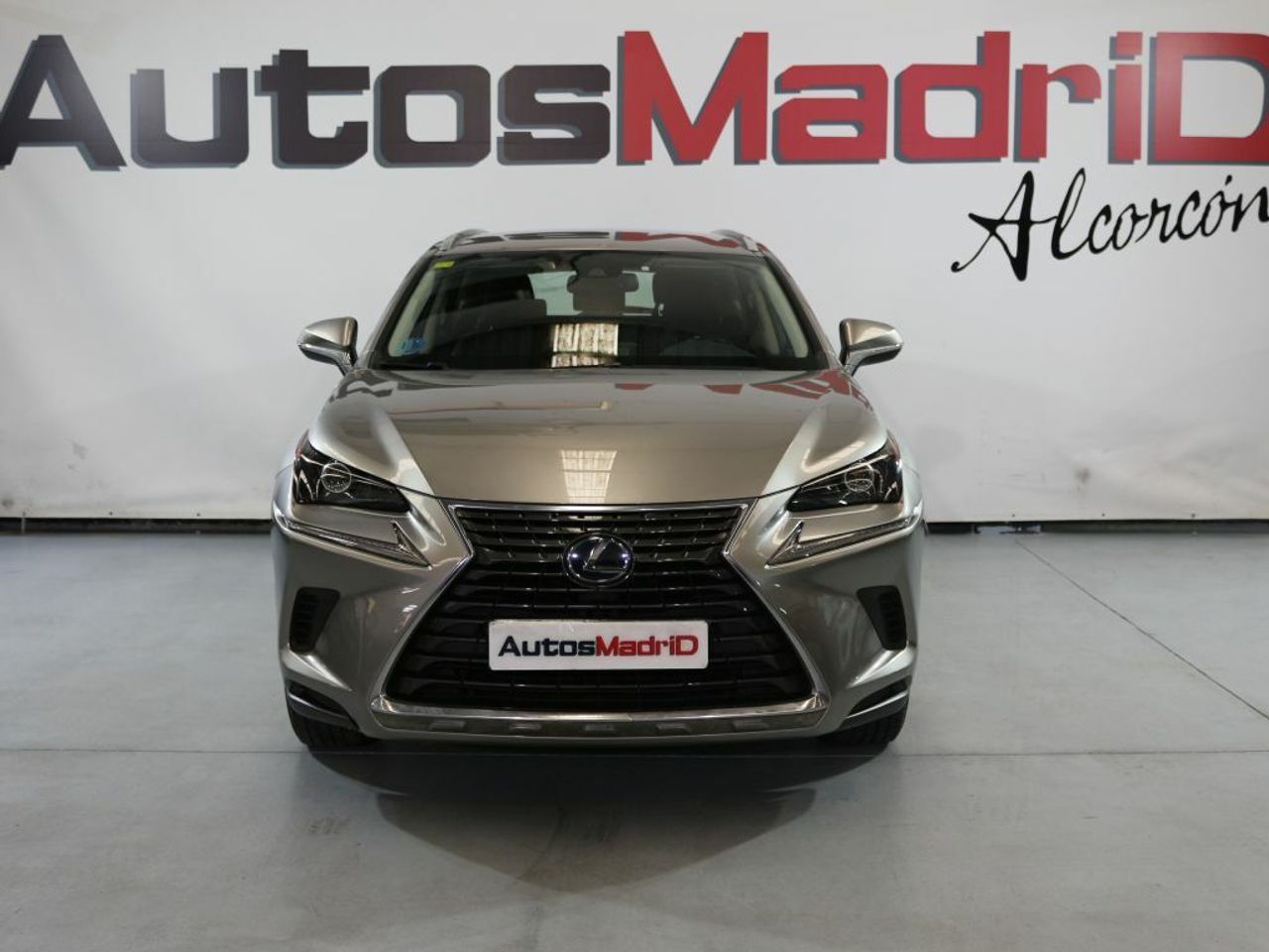 lexus nx 2020 / foto grande (2)