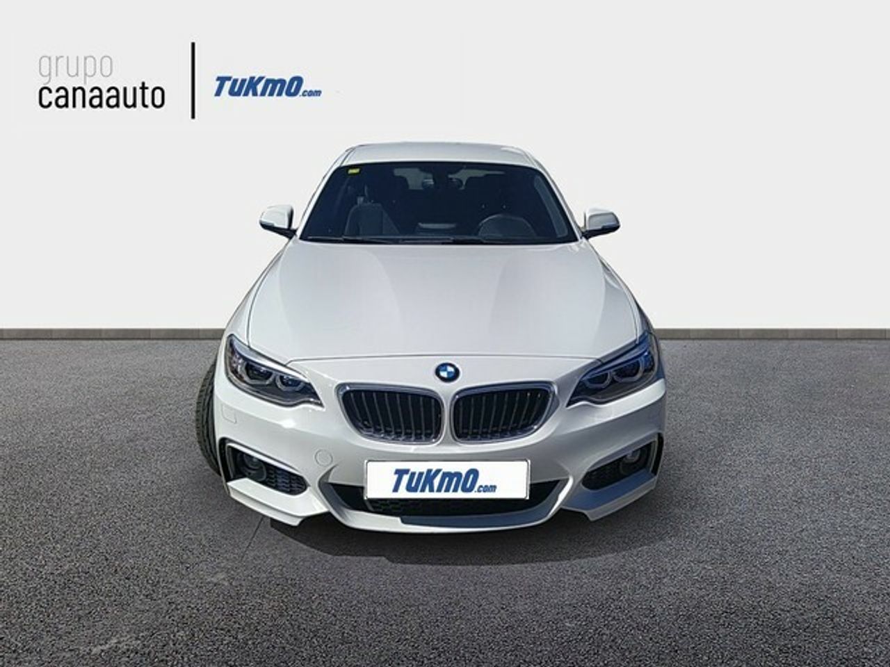 bmw serie 2 2016 / foto grande (2)