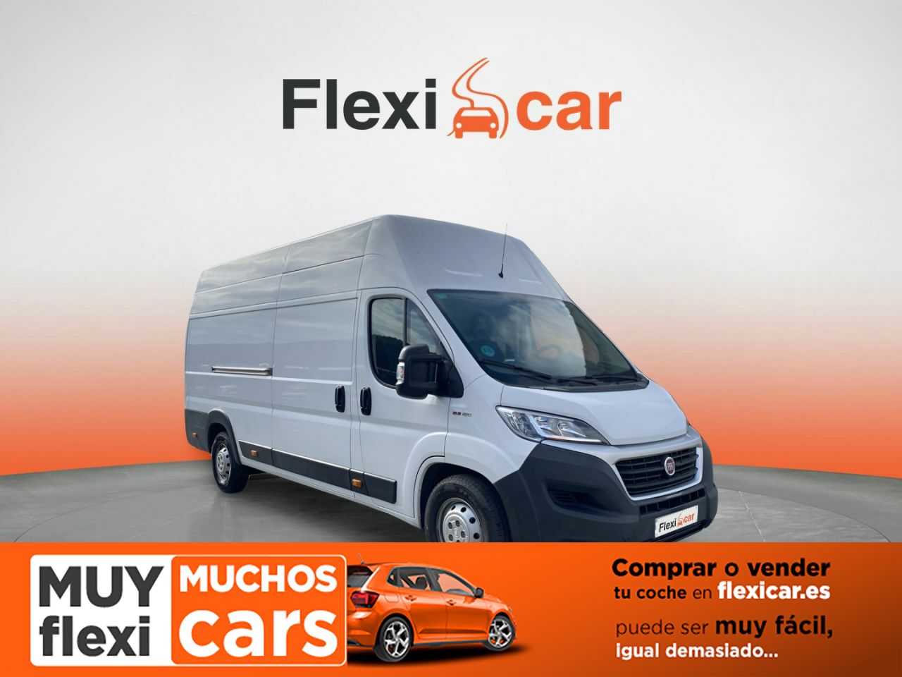 fiat ducato 2019 /