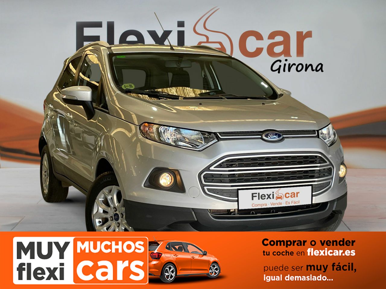 ford ecosport 2015 /