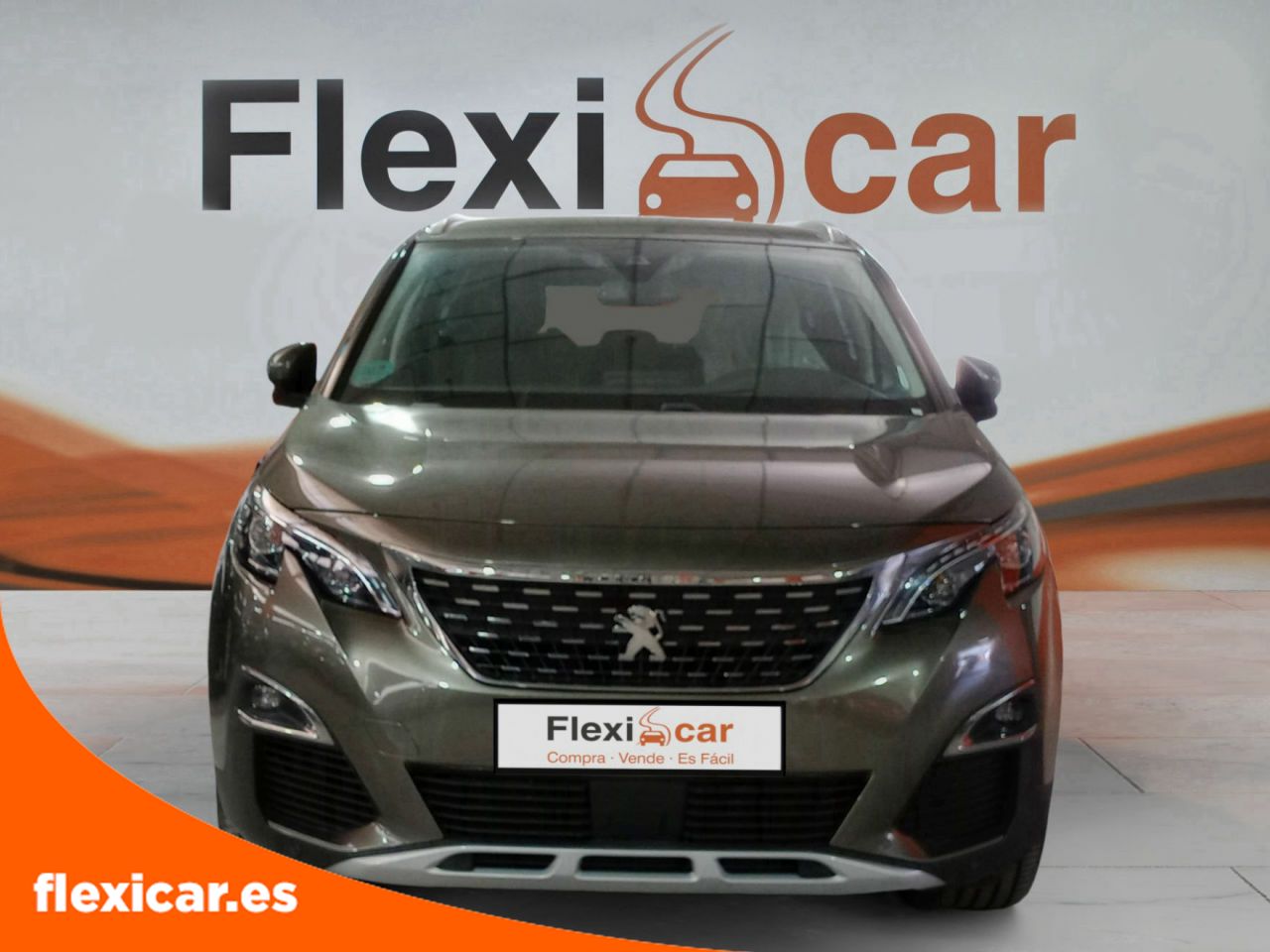 peugeot 5008 2019 / foto grande (2)
