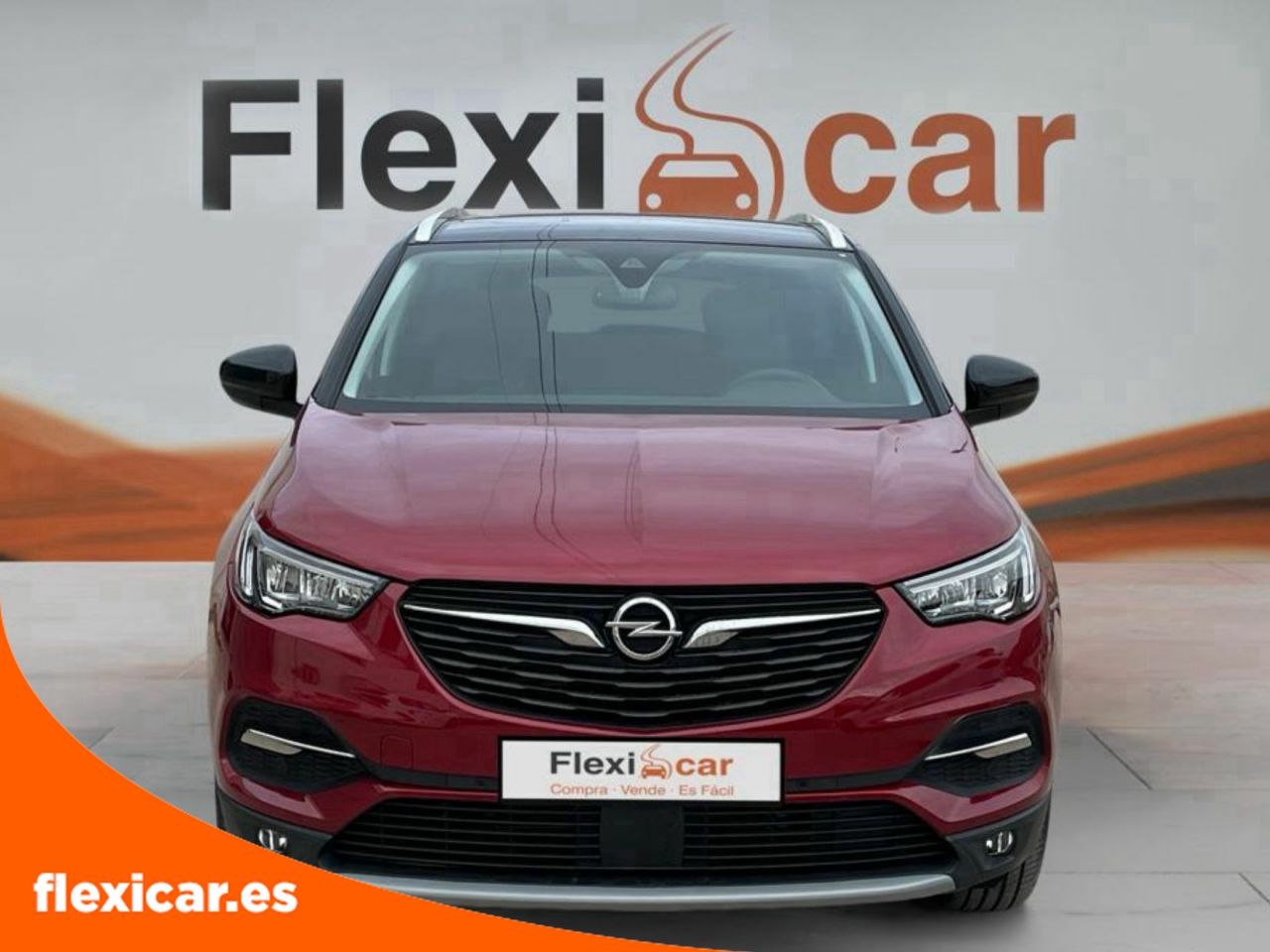 opel grandland x 2021 / foto grande (2)