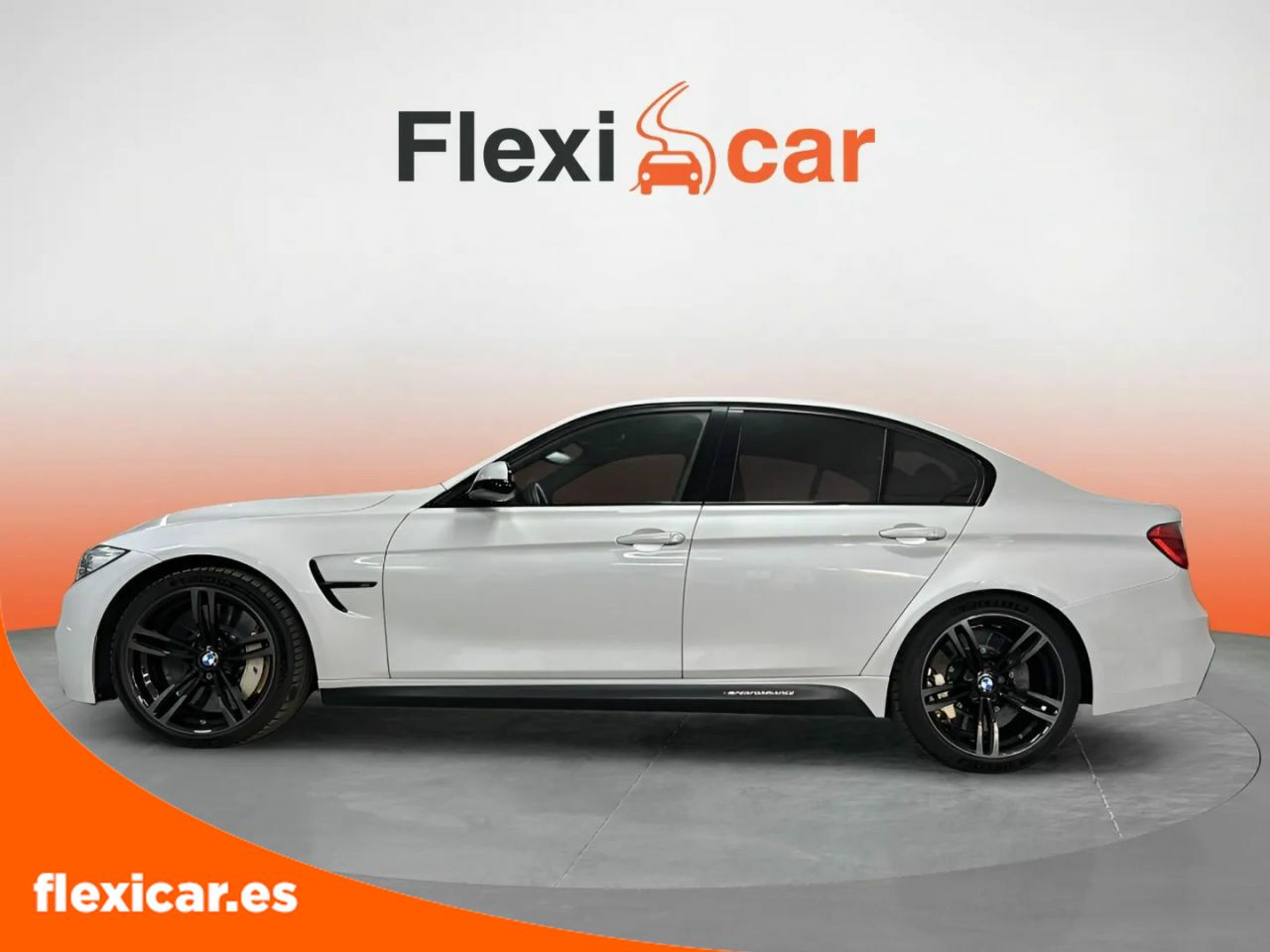 bmw serie 3 2014 / foto grande (3)
