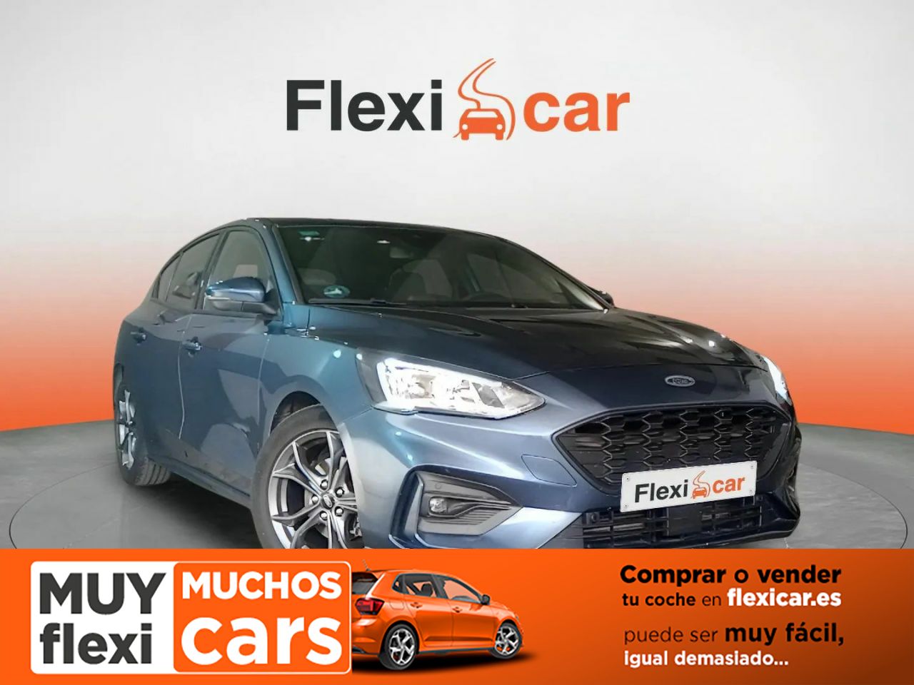 ford focus 2019 /