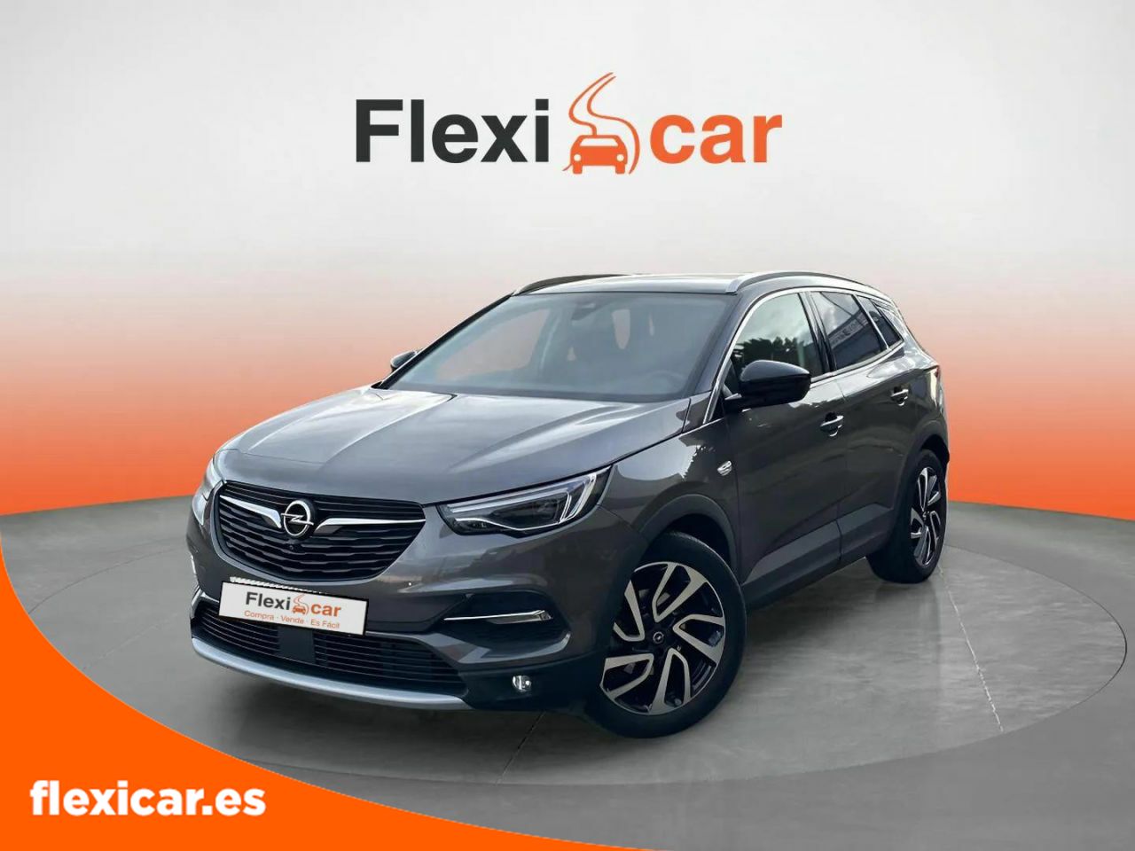 opel grandland x 2019 / foto grande (3)