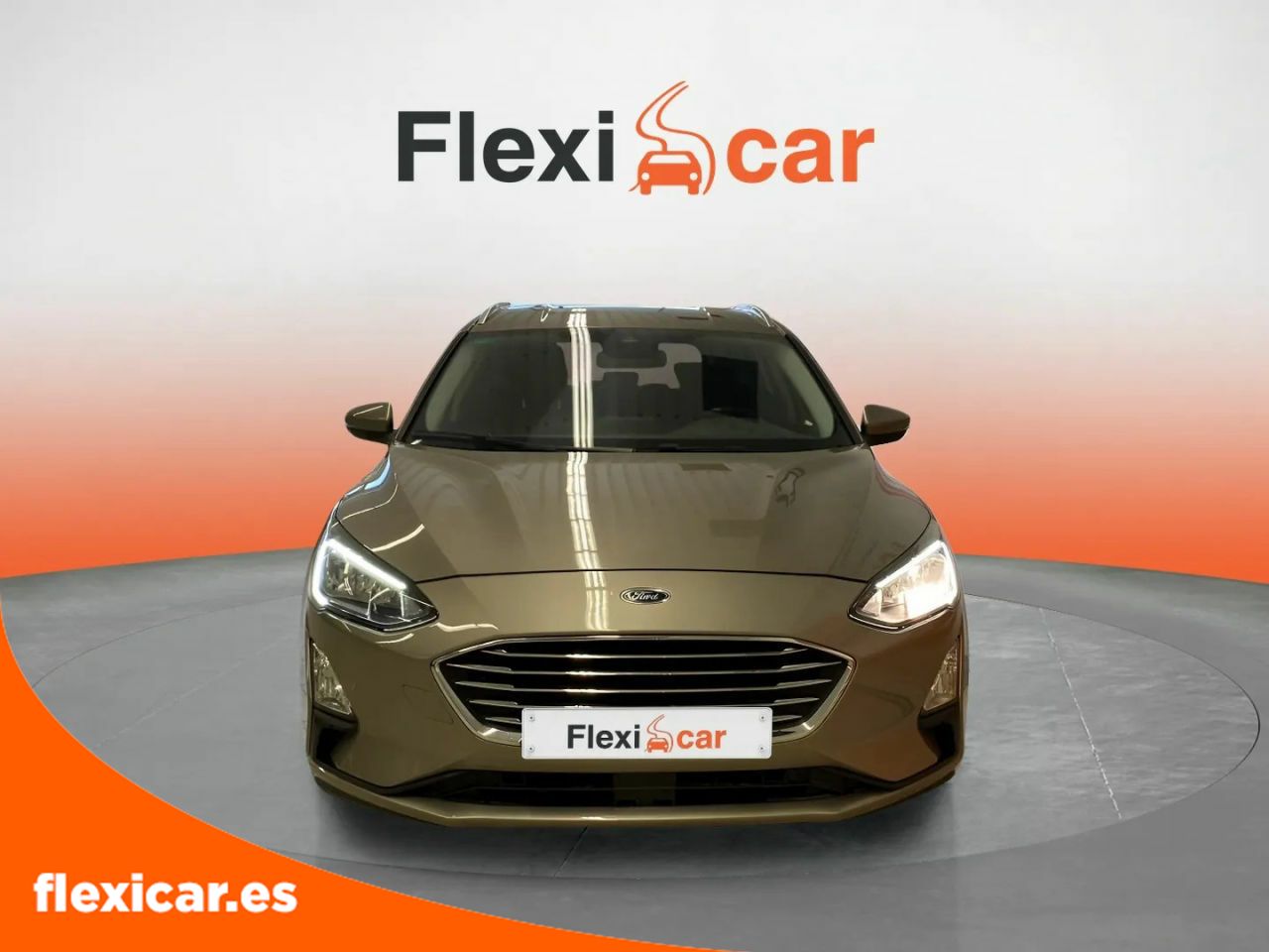 ford focus 2019 / foto grande (2)