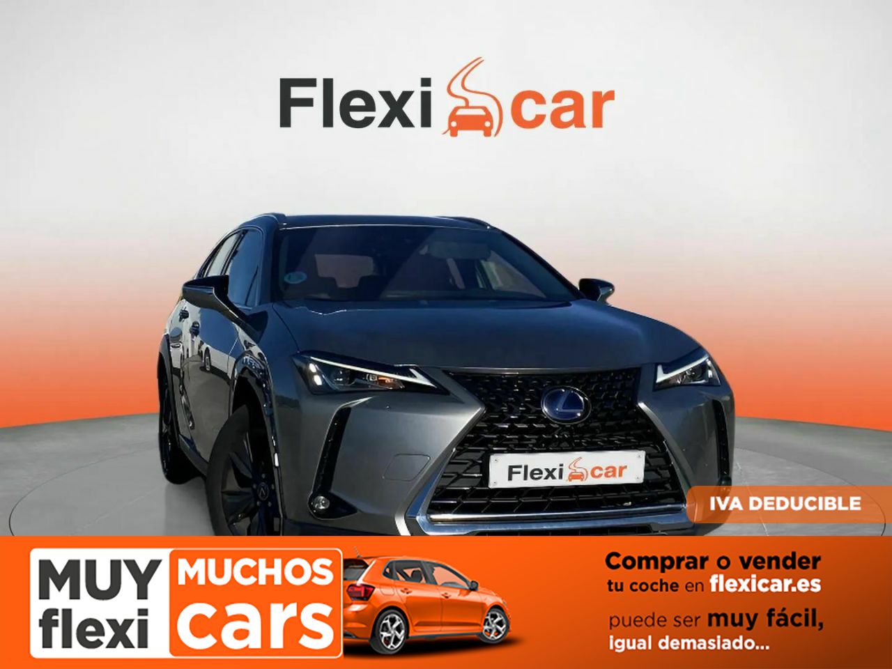 Vidente navarra  en Navarra - lexus ux 2021 /