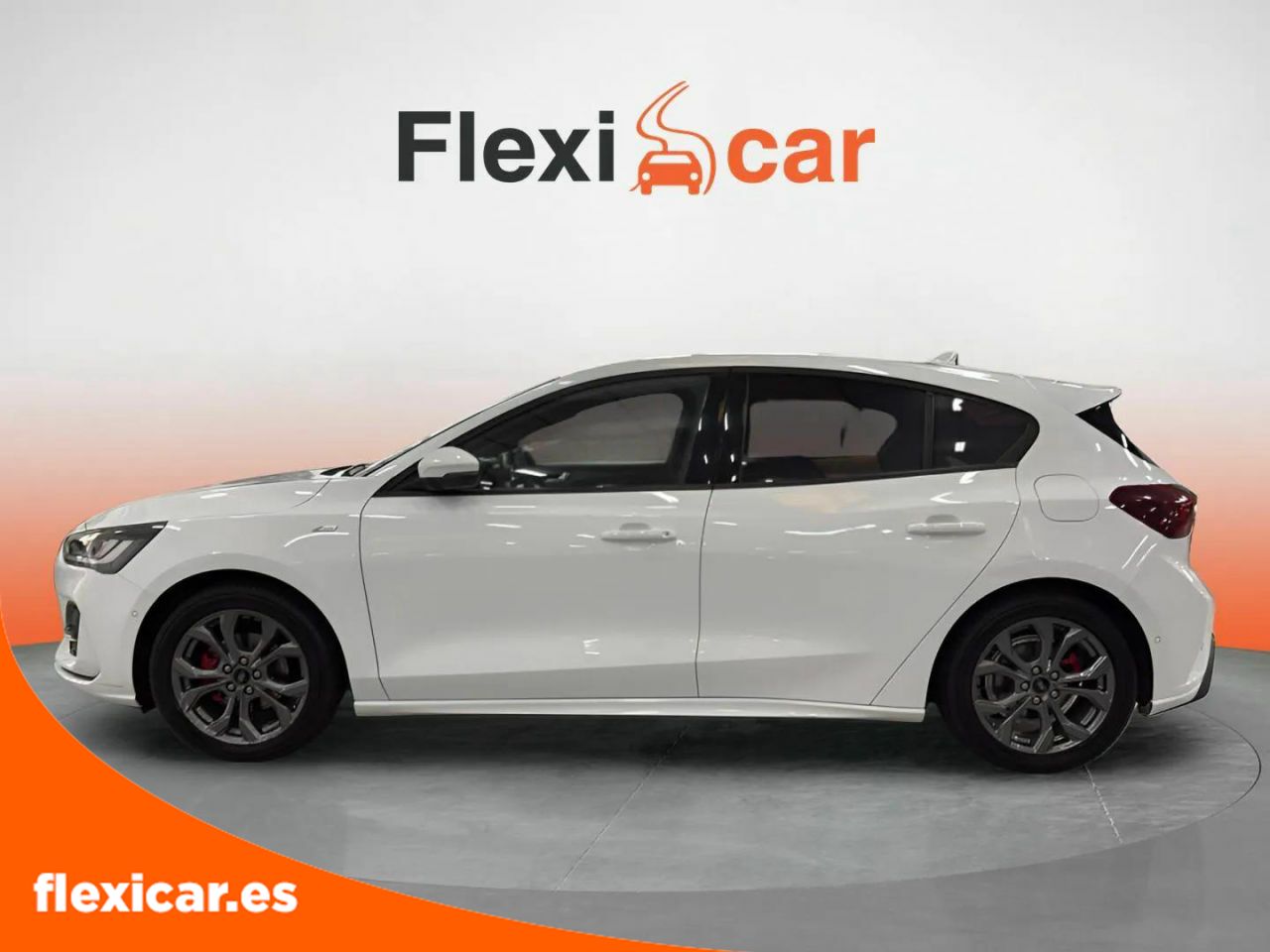 ford focus 2022 / foto grande (3)