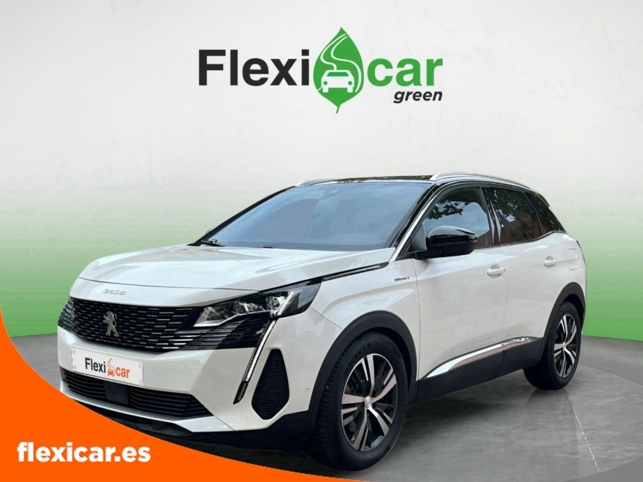peugeot 3008 2021 / foto grande (3)