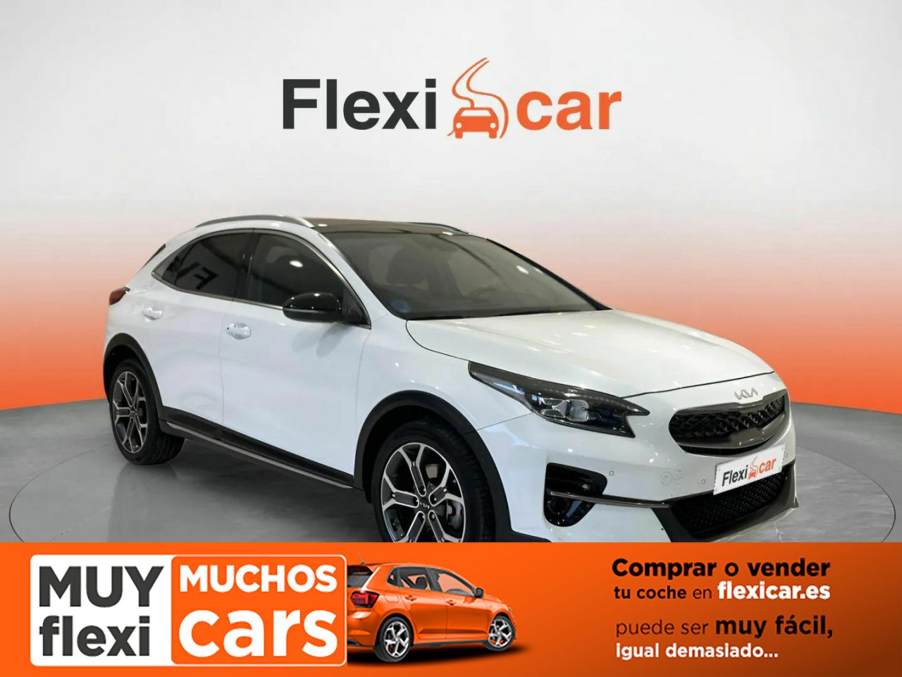 Coches hibridos elche  de segunda mano - kia xceed 2021 /