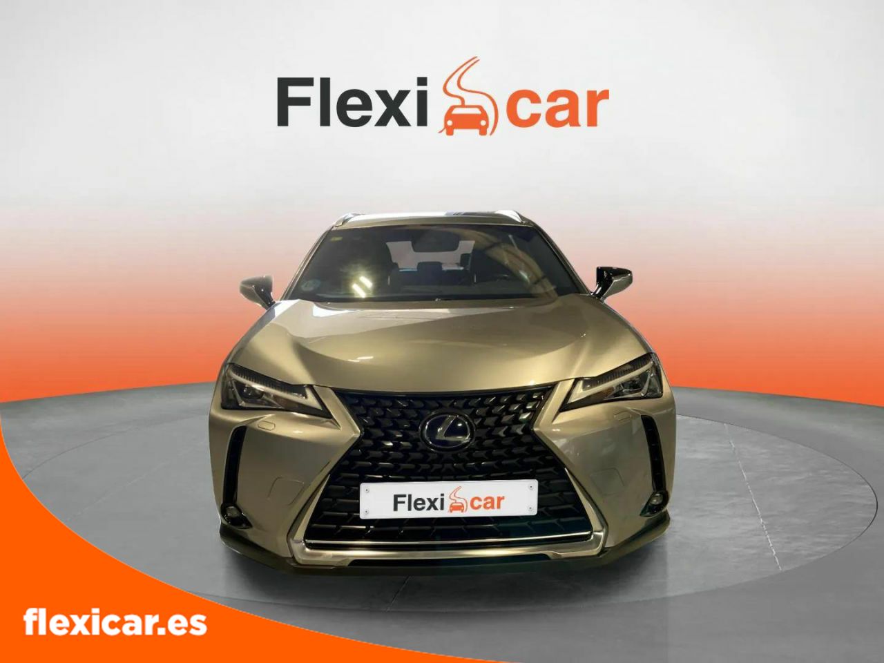 lexus ux 2020 / foto grande (3)