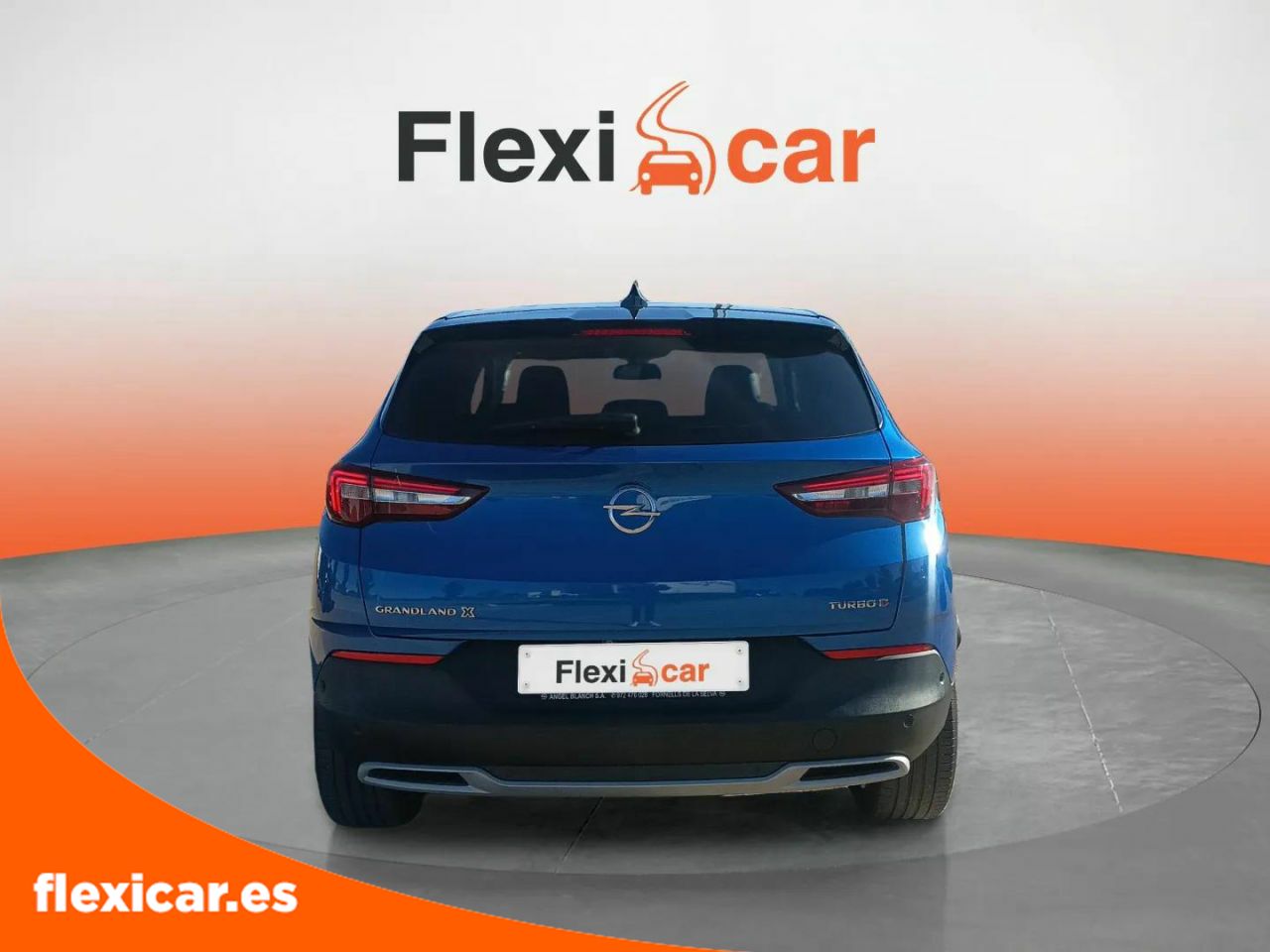 opel grandland x 2019 / foto grande (3)