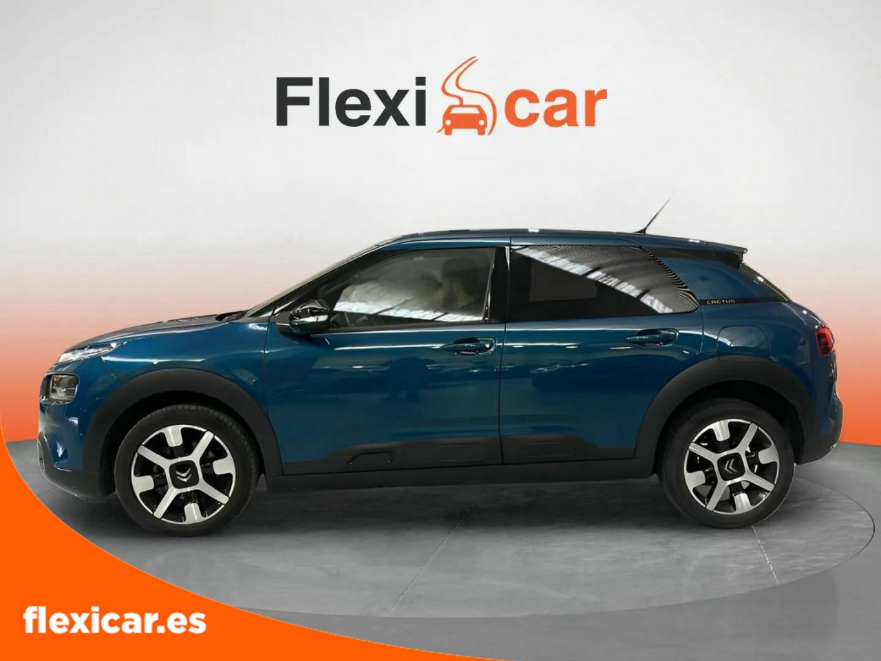 citroën c4 cactus 2019 / foto grande (2)
