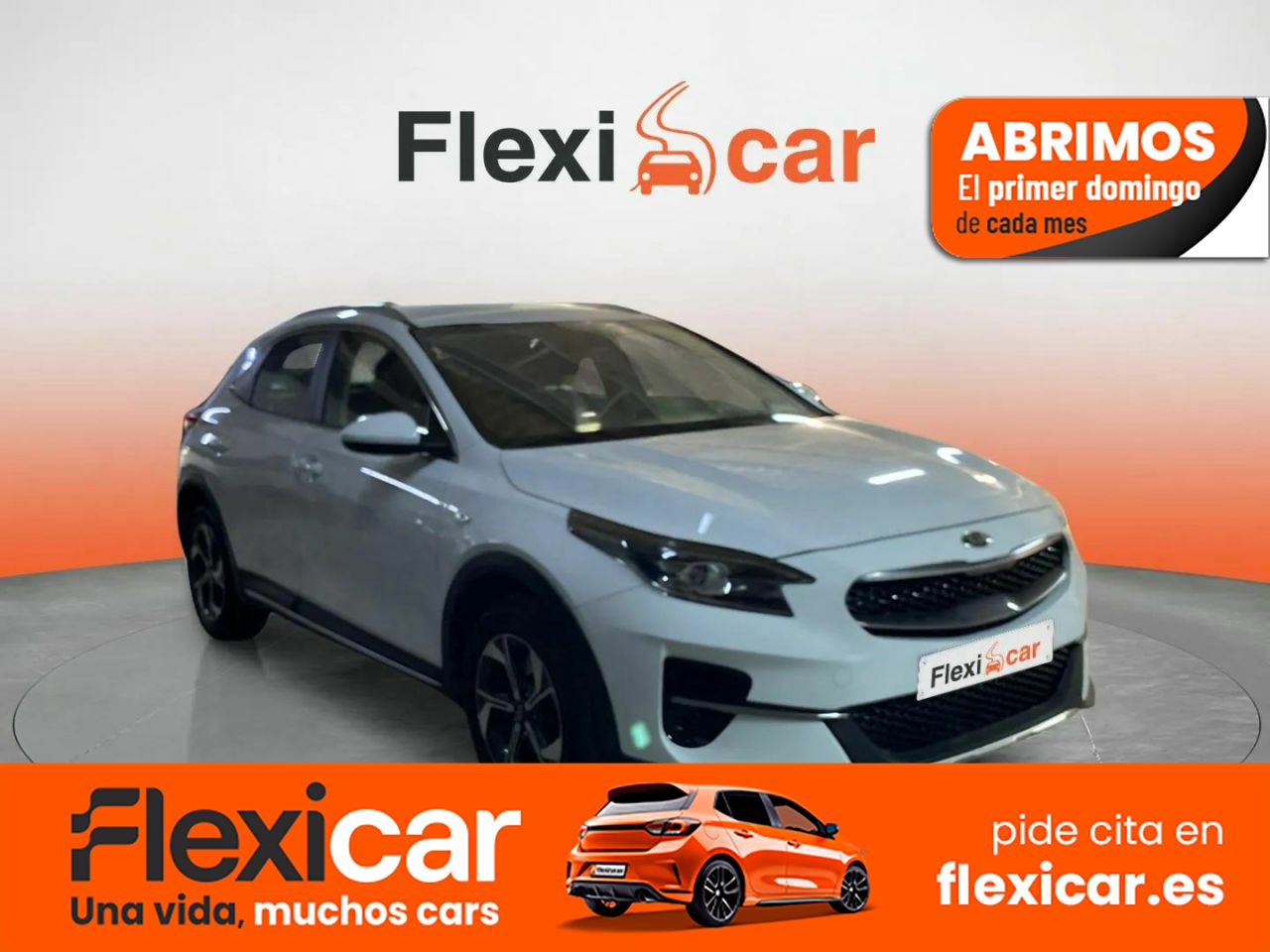 Kia xceed diesel 115cv  de segunda mano - kia xceed 2020 /