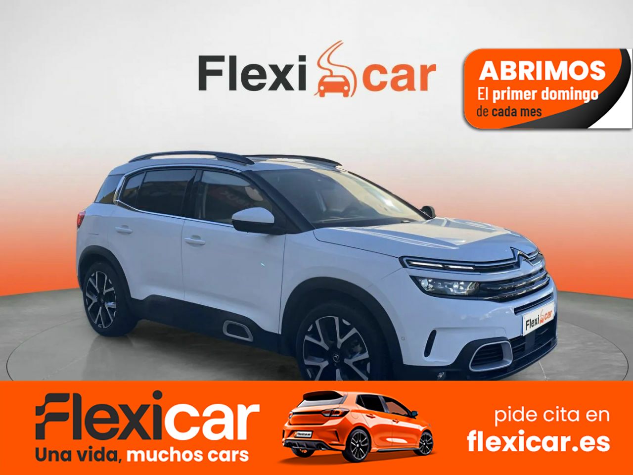 Citroen c5 aircross diesel 131cv  de segunda mano - citroën c5 aircross 2019 /