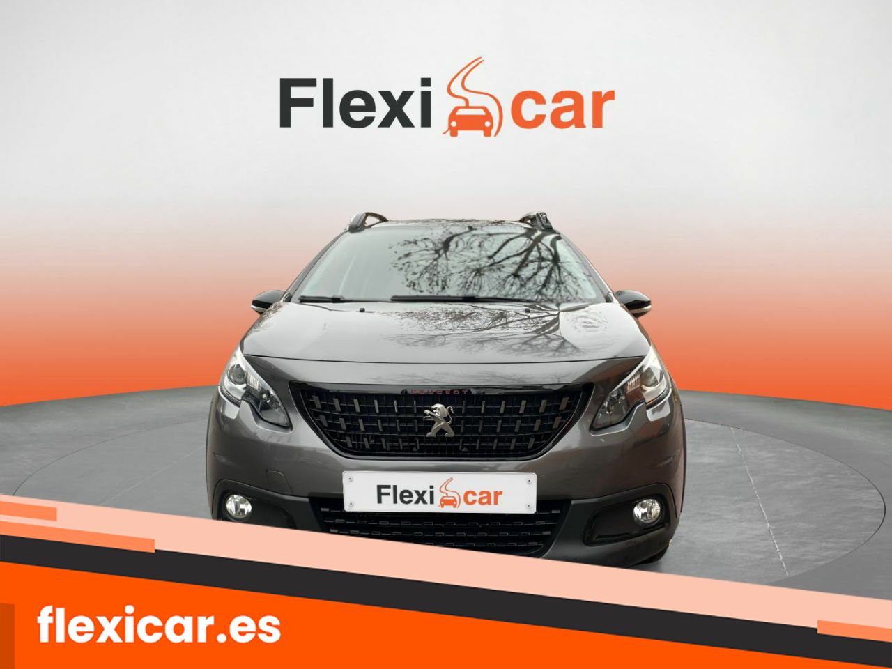 peugeot 2008 2019 / foto grande (3)