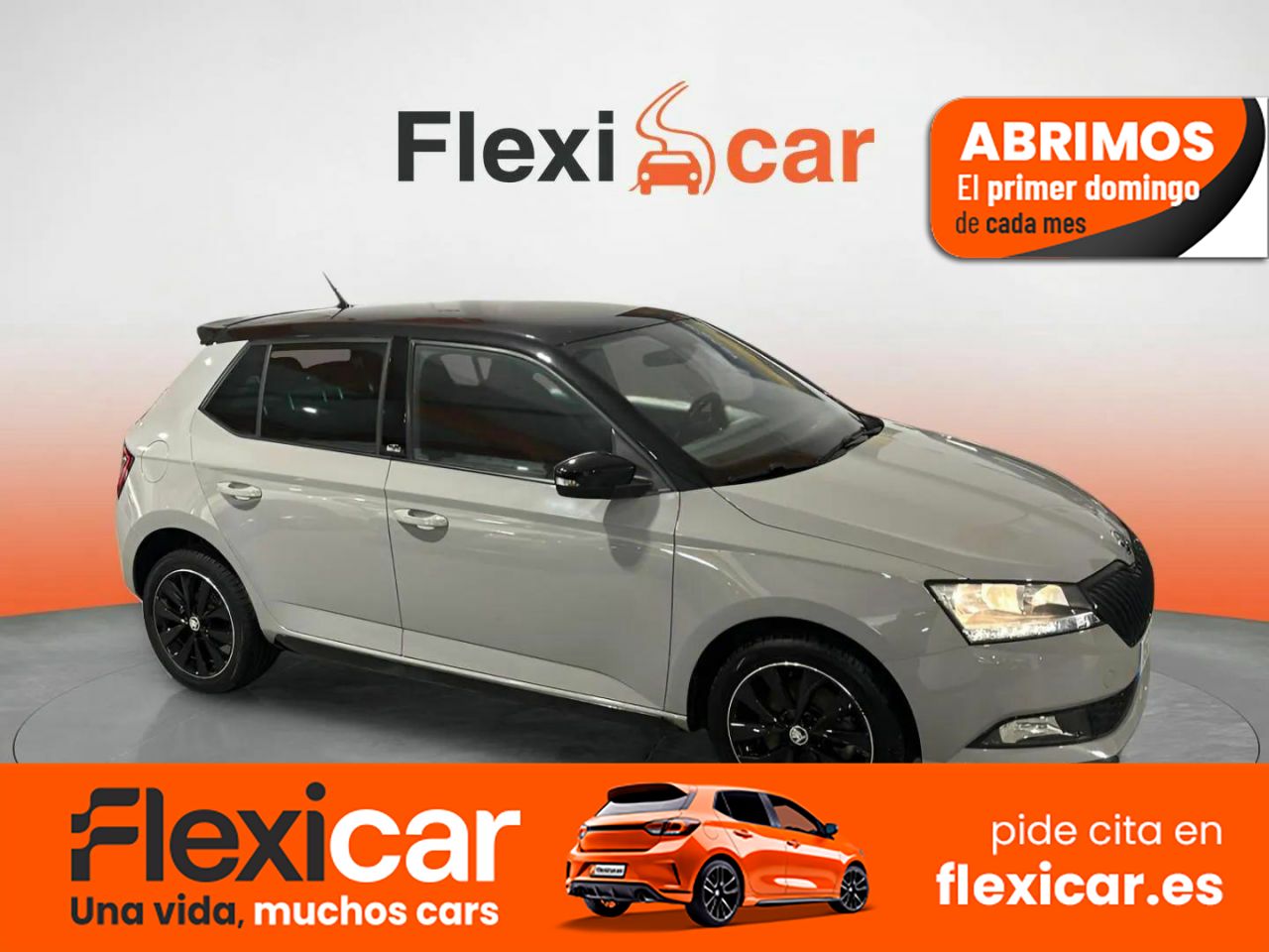 Skoda fabia 2019  de segunda mano - skoda fabia 2019 /