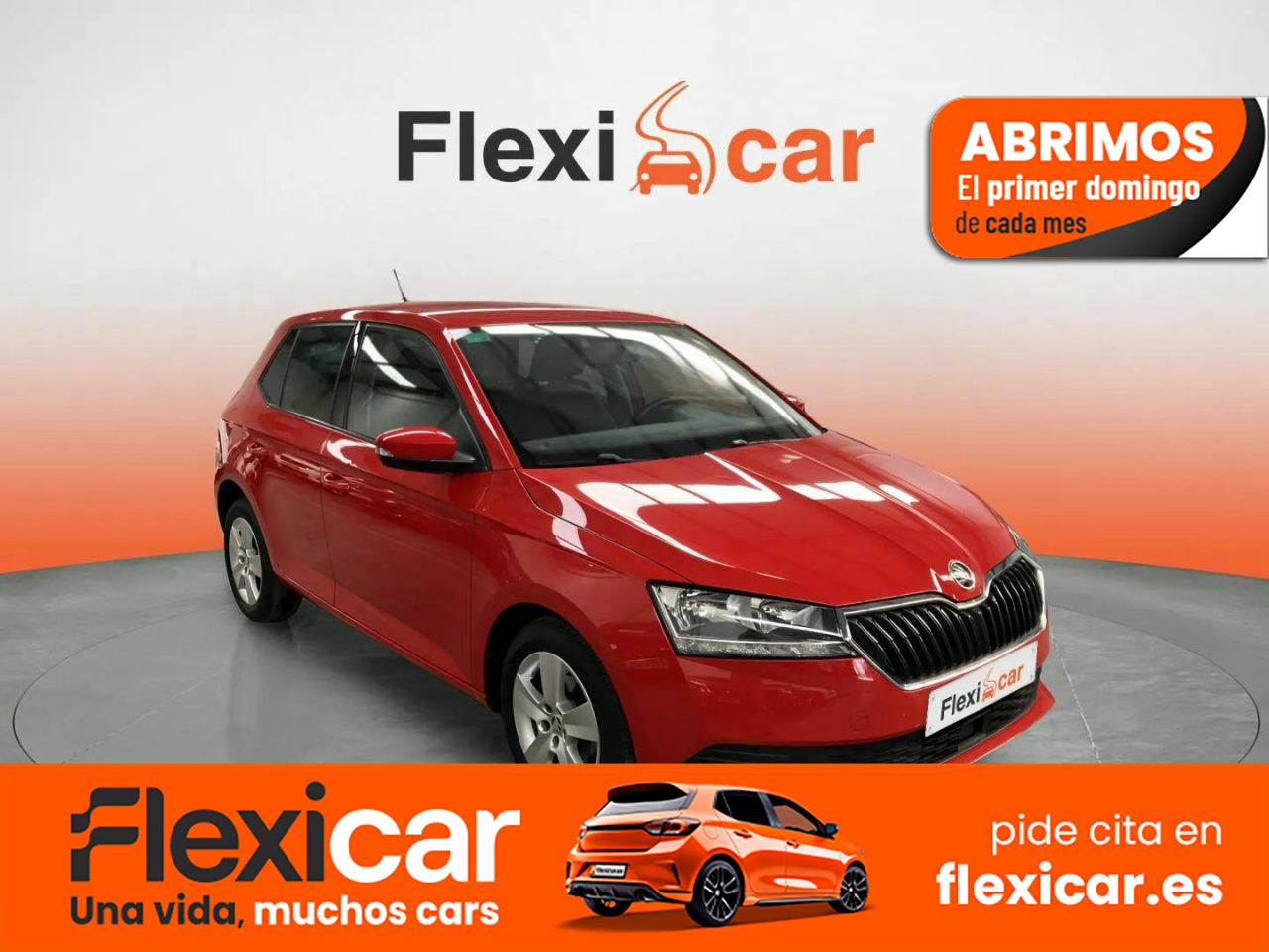 Skoda fabia 2019 valles  de segunda mano - skoda fabia 2019 /