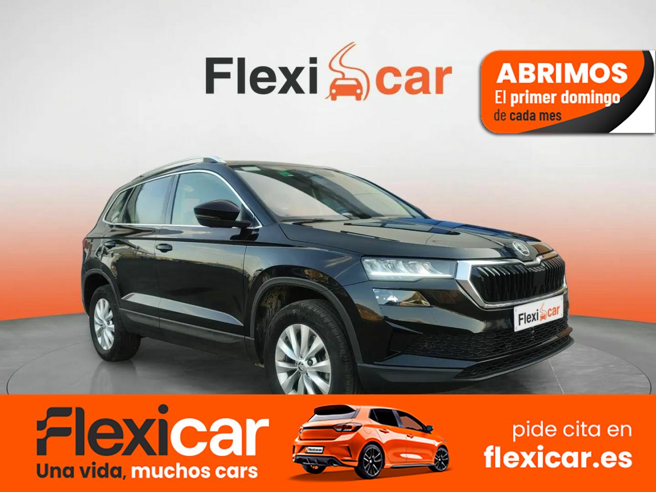 Tarotista vizcaya  en Vizcaya - skoda karoq 2023 /