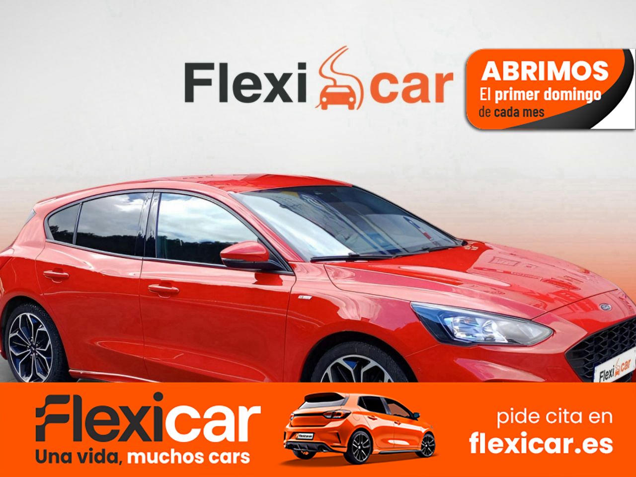 Ford focus  de segunda mano - ford focus 2020 /