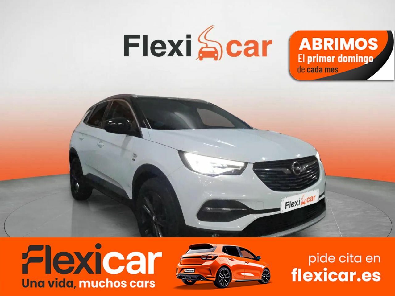 Opel grandland x 2019 alcala de henares  de segunda mano - opel grandland x 2019 /