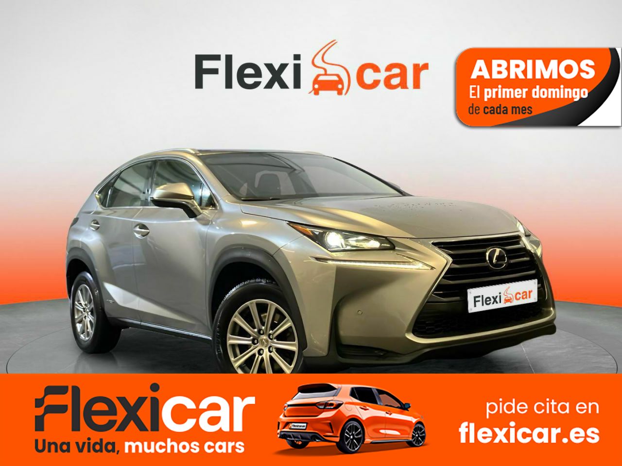 Vigo  de segunda mano - lexus nx 2016 /