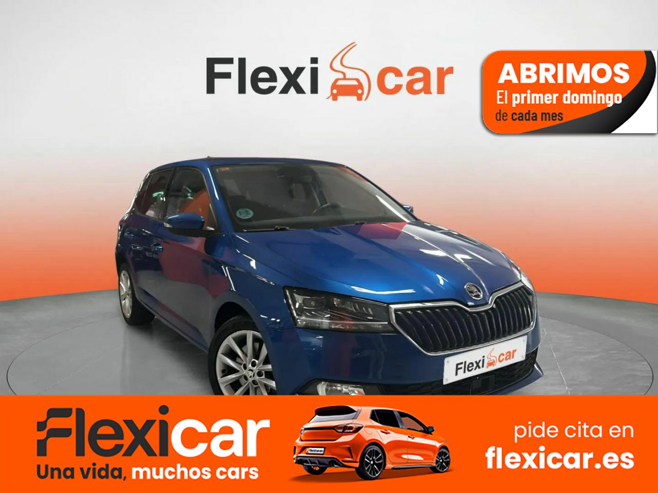Skoda fabia 2019  de segunda mano - skoda fabia 2019 /