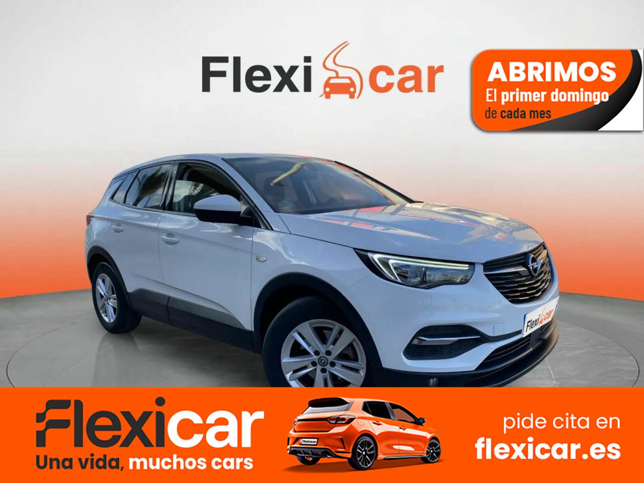 Opel grandland x 2019 alcala de henares  de segunda mano - opel grandland x 2019 /