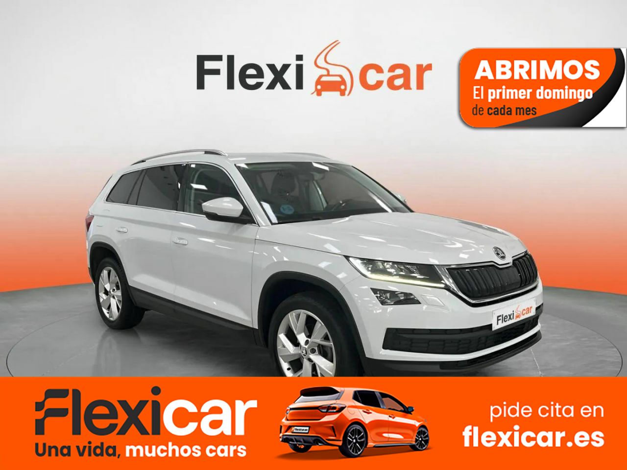 Foto skoda kodiaq 2017 /