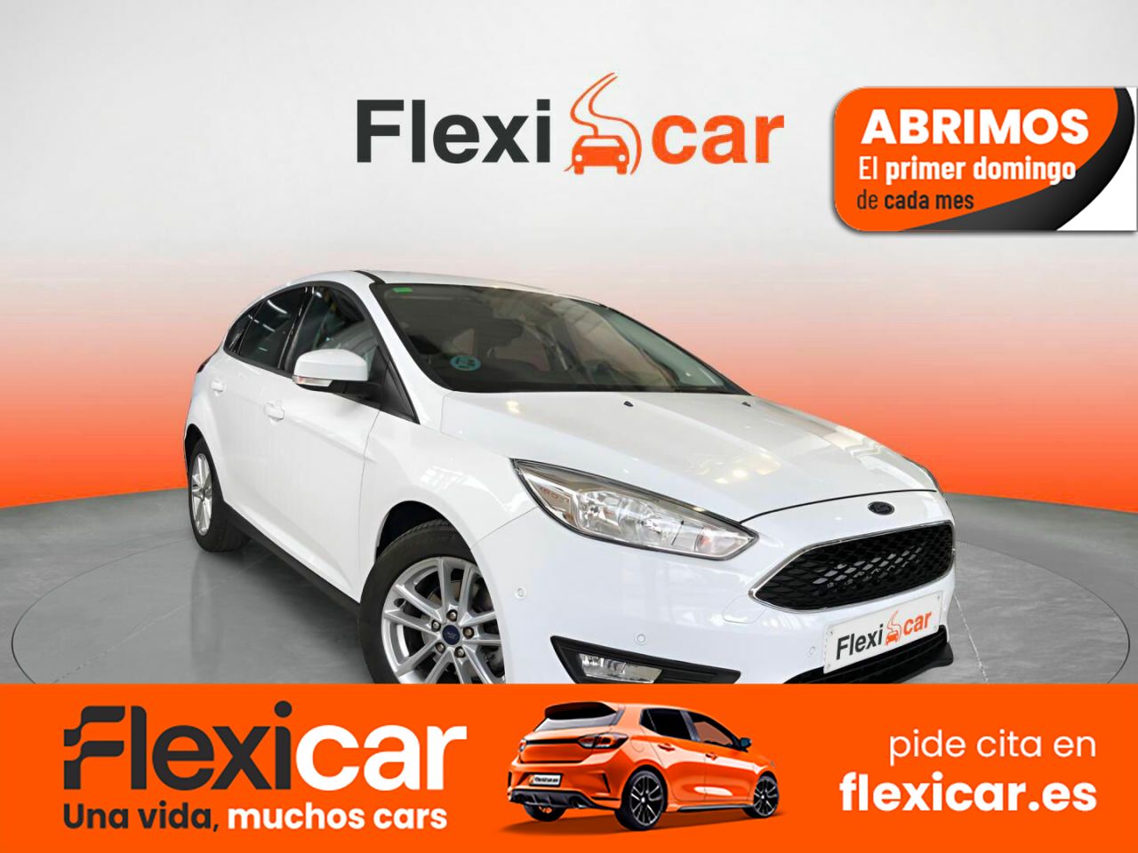 Ford focus  de segunda mano - ford focus 2017 /